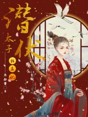 潜伏讲啥