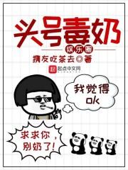 娱乐圈的头号黑粉txt