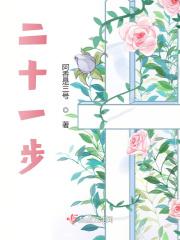 二十一步楼梯好吗