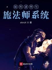 哈利波特传奇法师