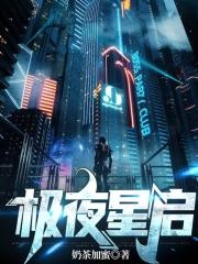 极夜星辉技能
