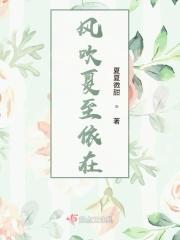 风吹旧夏