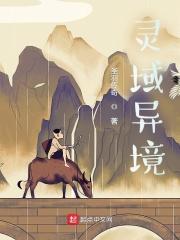 灵域镜界
