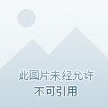 中国五大禁术
