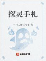 探灵咋玩