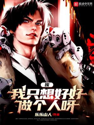 歌词我是一只流浪的小狼狗