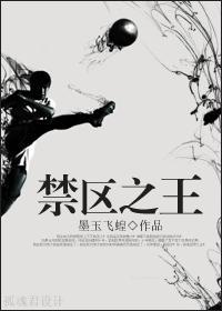 足球 禁区之狐