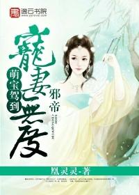 邪帝一见钟情萌妃