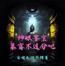 神眼鉴宝师第一章奇遇
