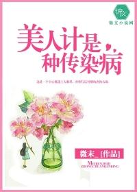 美人计属于哪一计