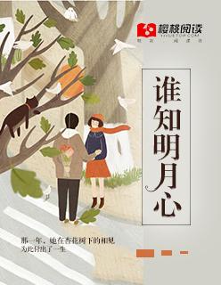 明月不知我心事