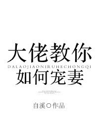大佬教你如何宠妻txt