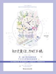为时不晚免费阅读
