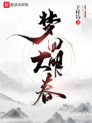 梦回大明春txt全本