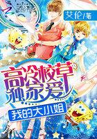我的高冷大小姐正版