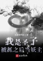 我是圣子 被抓