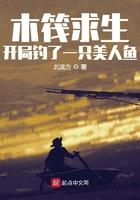 木筏求生中文版